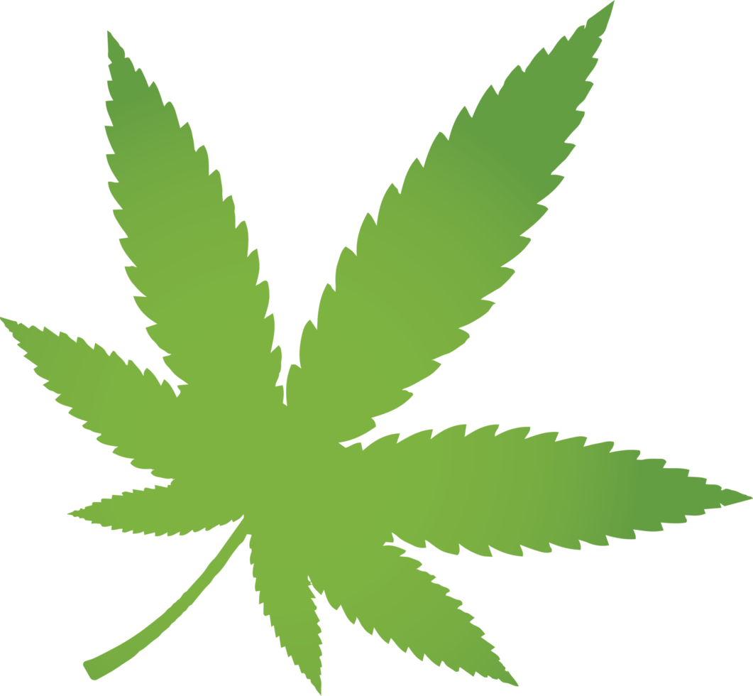 Cannabis leaf PNG Clipart With Transparent Background for decoration of art file.