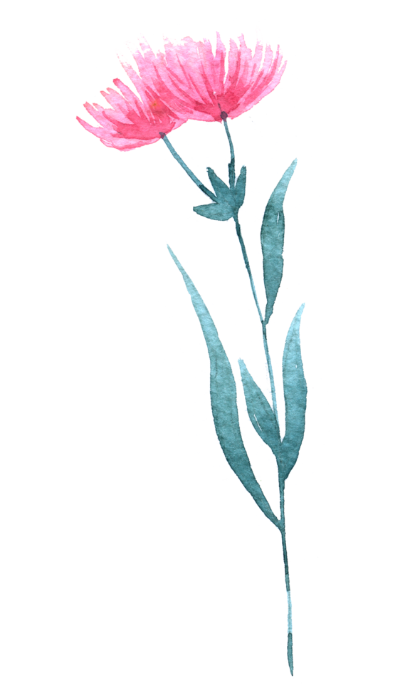 Wildflower watercolor, Beautiful flower watercolor element png