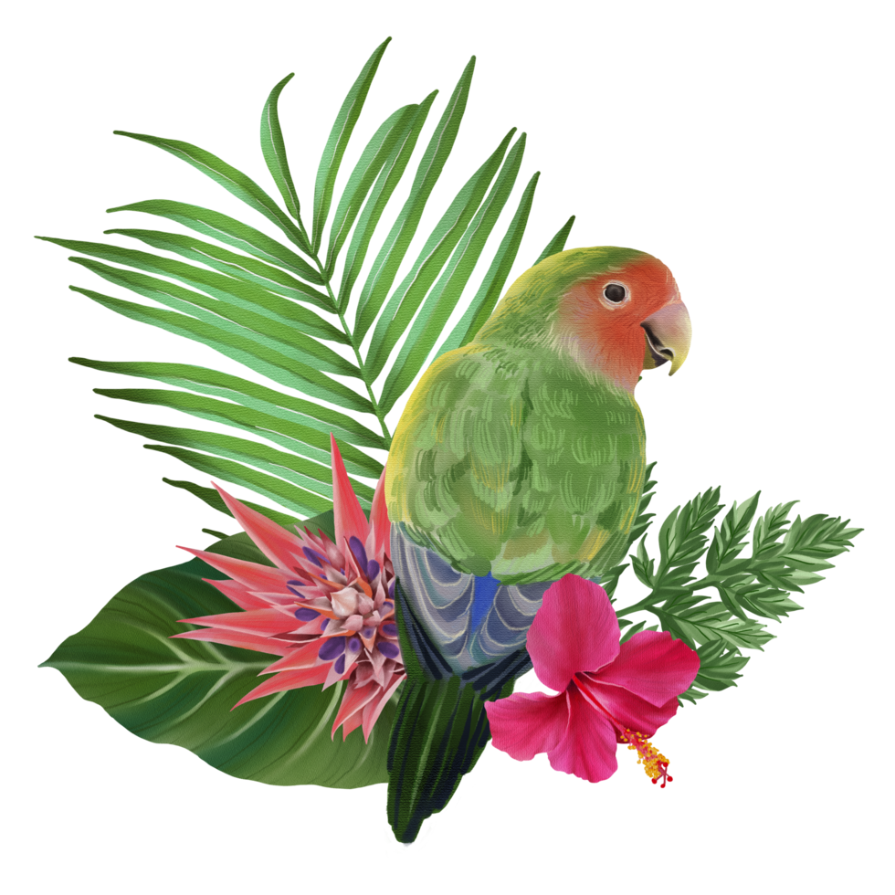 Tropical composition with bird watercolor hand paint png