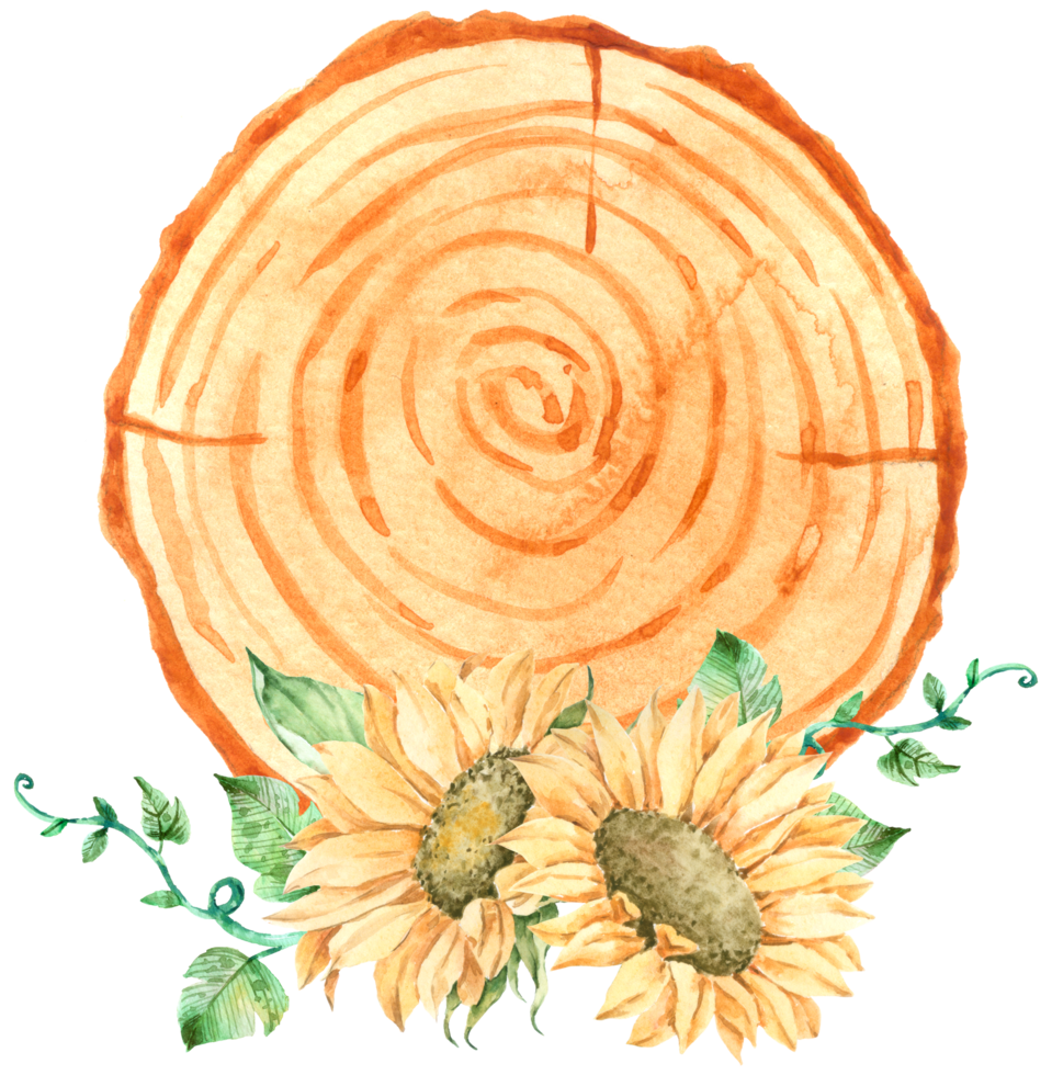Signwood with sunflower watercolor png