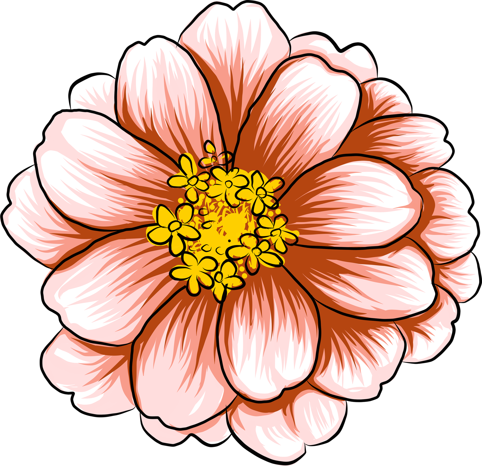 Botanical drawing with zinnia flower. 19859207 PNG