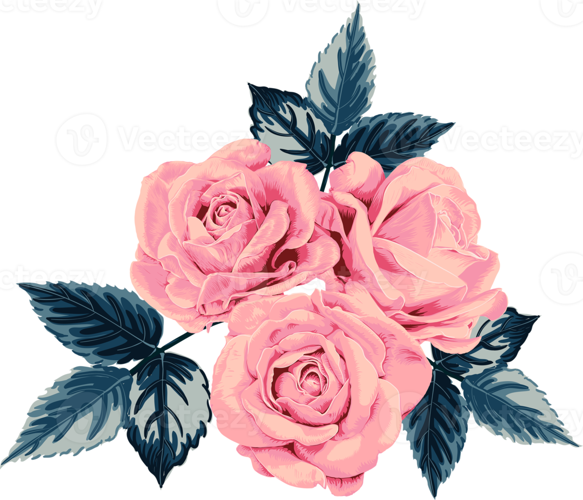 botanisk teckning med rosa pastell reste sig blomma. png