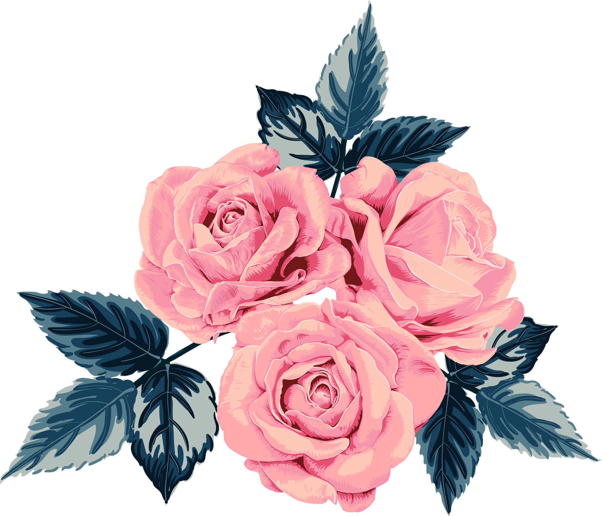 Botanical drawing with pink pastel rose flower. 19859213 PNG