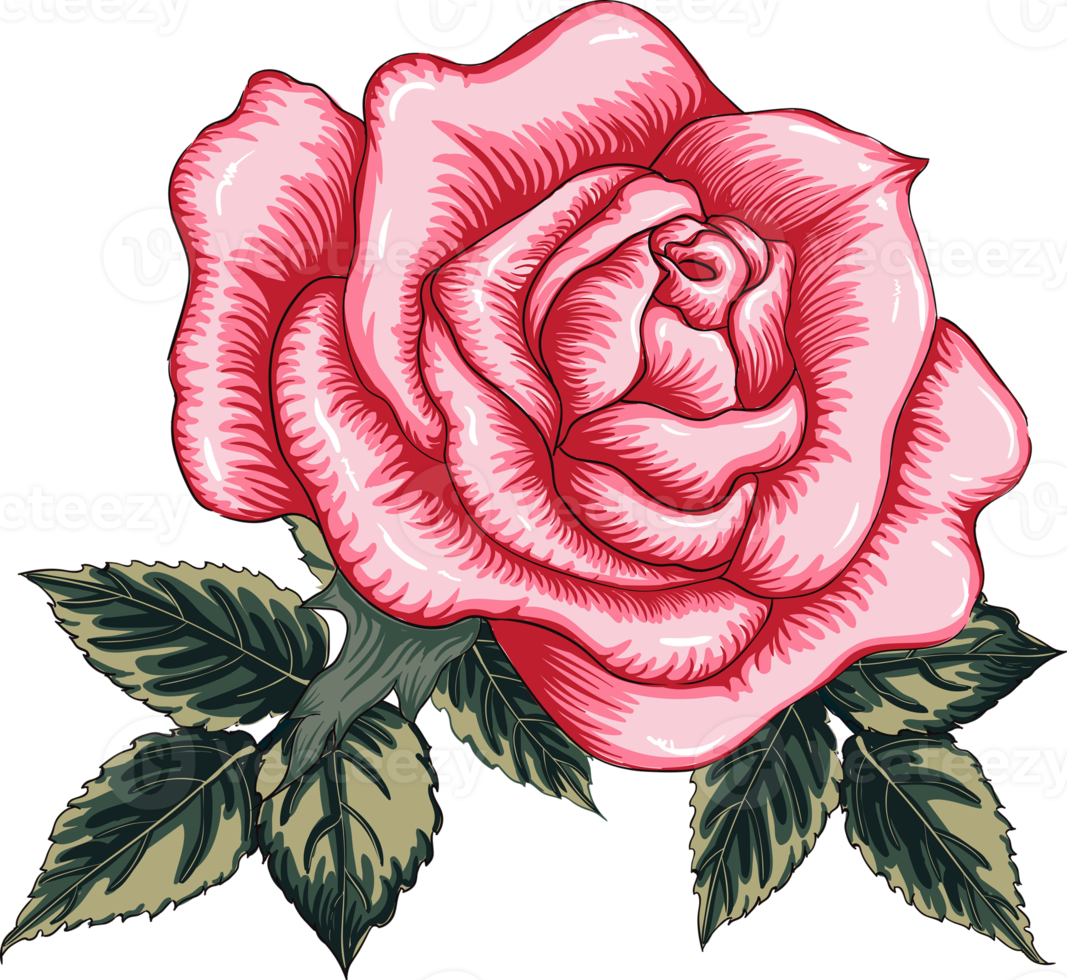 Free dibujo de flor de rosa. 19859227 PNG with Transparent Background