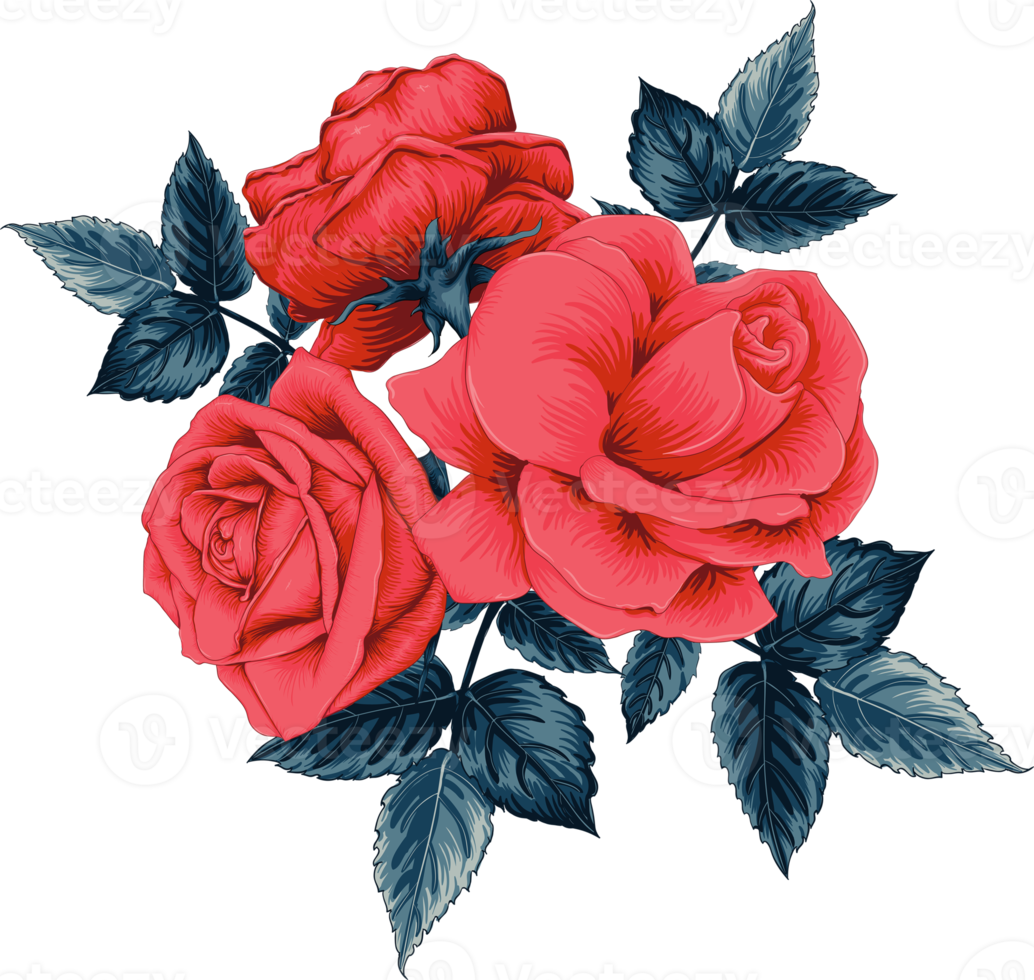 vermelho rosa flores desenho. png