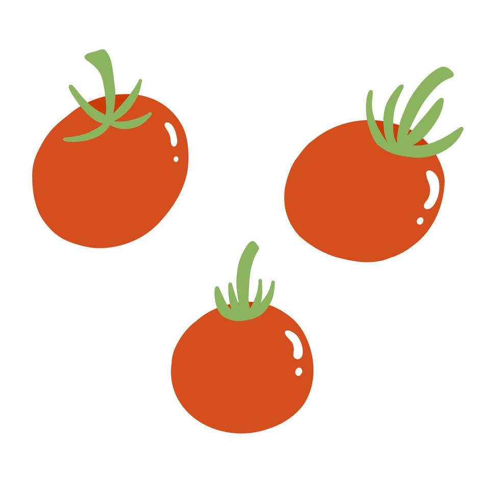 Vector illustration of red tomato. Fresh vegetable in cartoon flat style. Vegie set isolated on white background, healthy vegan food.