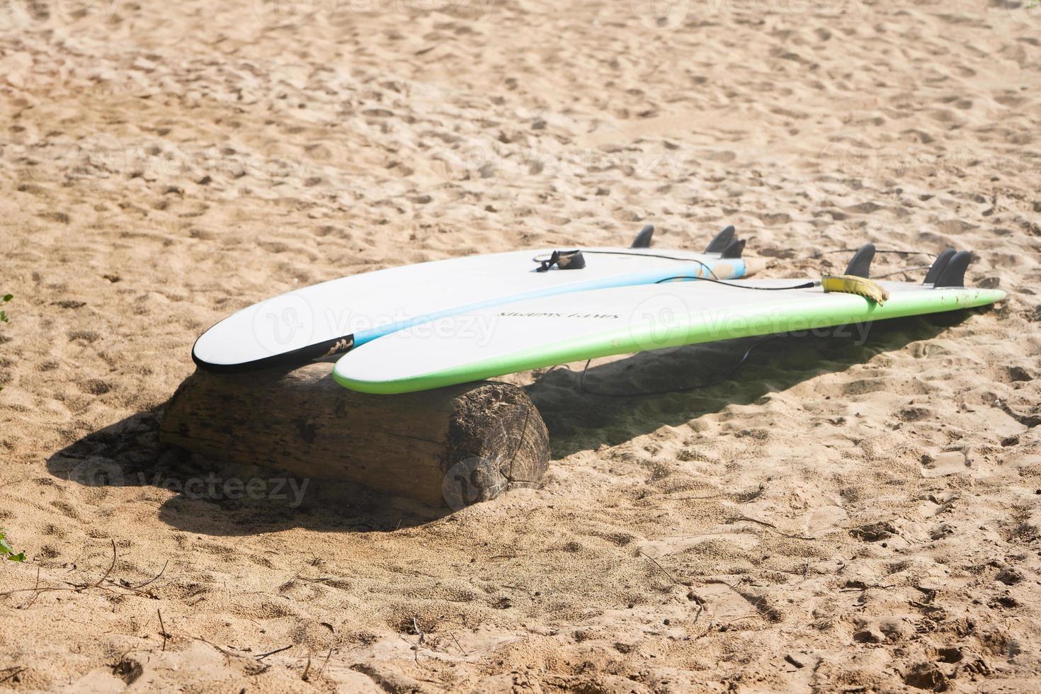 Surfboards setting under coconut palms beach seaside relax fun holiday summer vacation. photo