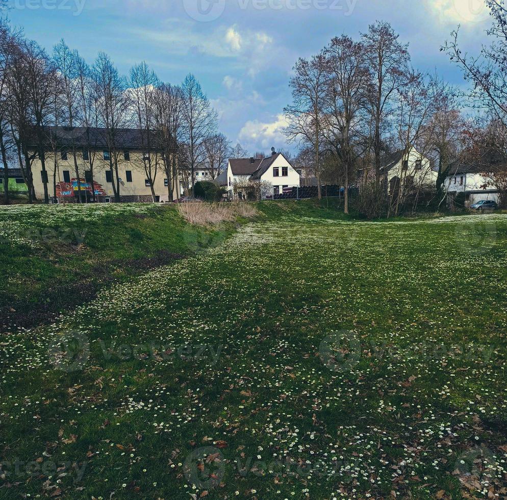 Small houses visible in the park. Green lawns in Germany photo