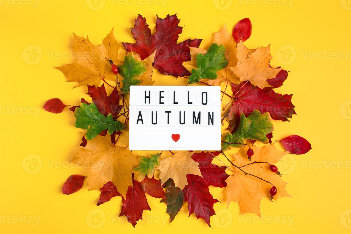 Hello autumn. Sign with the inscription and fallen leaves on yellow background. Beginning of the fall season. photo