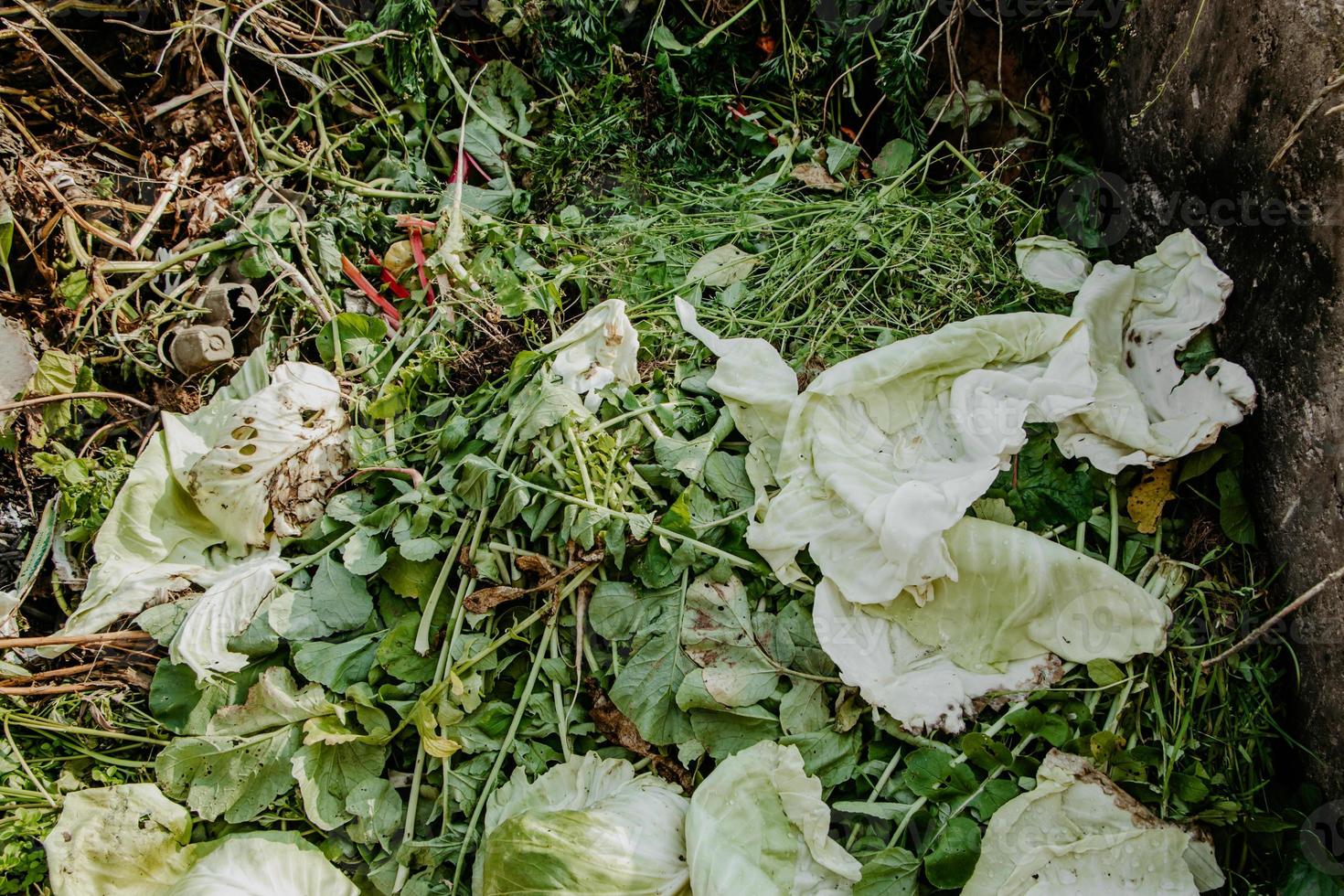 Pozo de compost para residuos de alimentos. concepto de fertilizantes orgánicos para jardín. foto