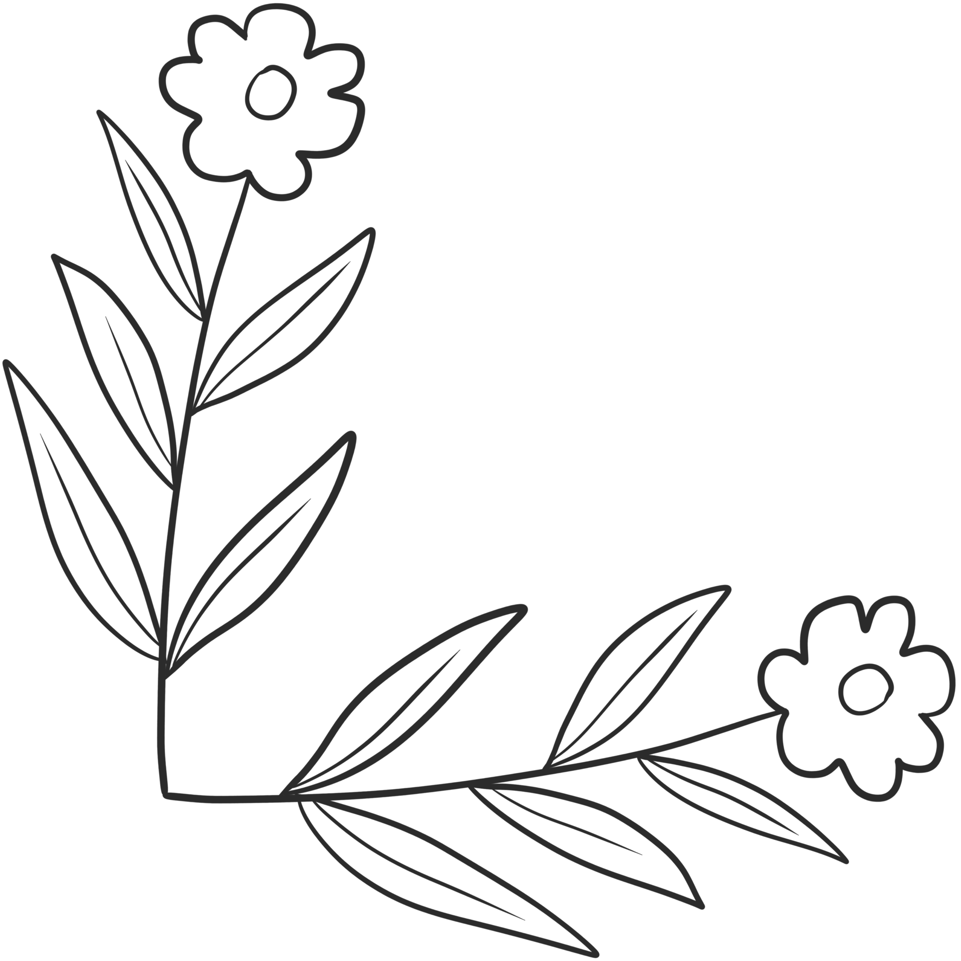 Flower corner borders