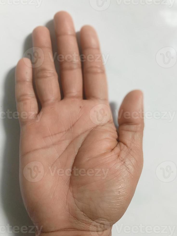 human hands with white skin photo