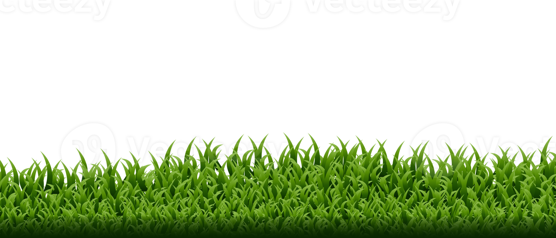 vert herbe frontière ensemble. transparent Contexte. illustration png