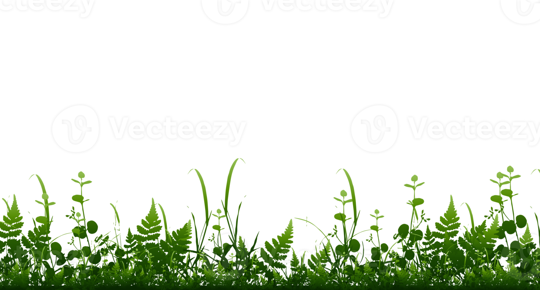 Bright green realistic seamless grass border isolated background. Transparent background. Illustration png