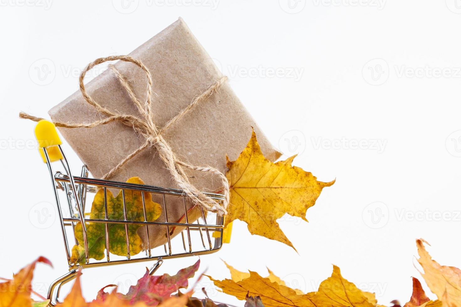 Autumn sale. Discount banner for advertising. Shopping cart and fallen yellow leaves on white background. photo