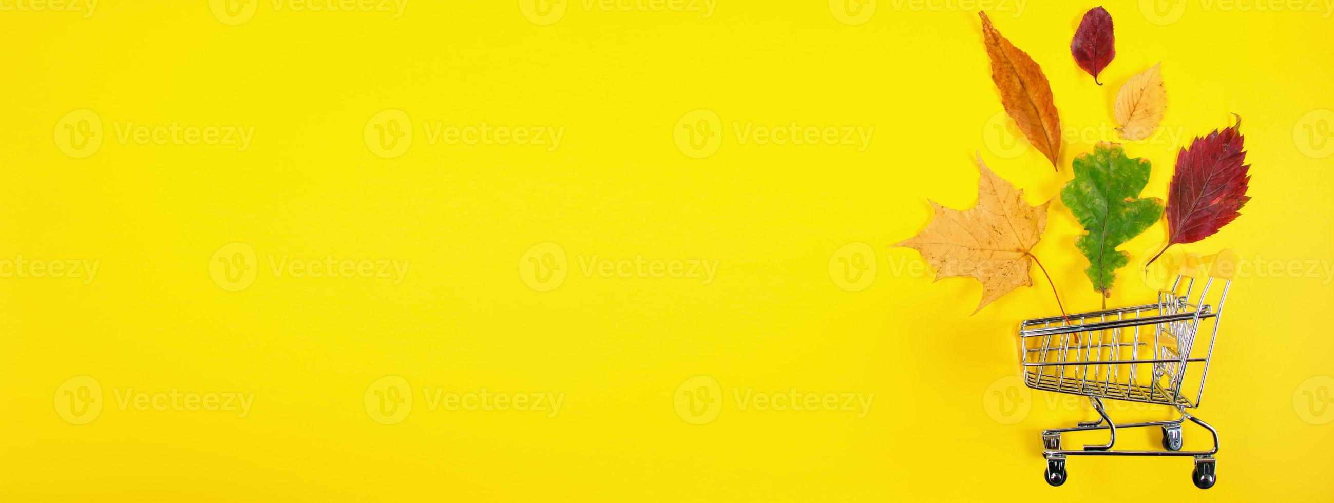 Autumn sale concept. Shopping cart and fallen colored leaves on yellow background. Creative composition for advertising. photo