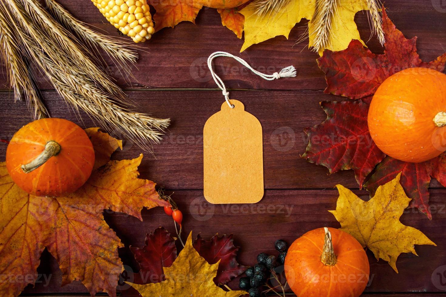 Blank label on wooden background. Autumn sale. Ripe pumpkins, fallen colored leaves and berries. Thanksgiving and harvest concept. Copy space. photo