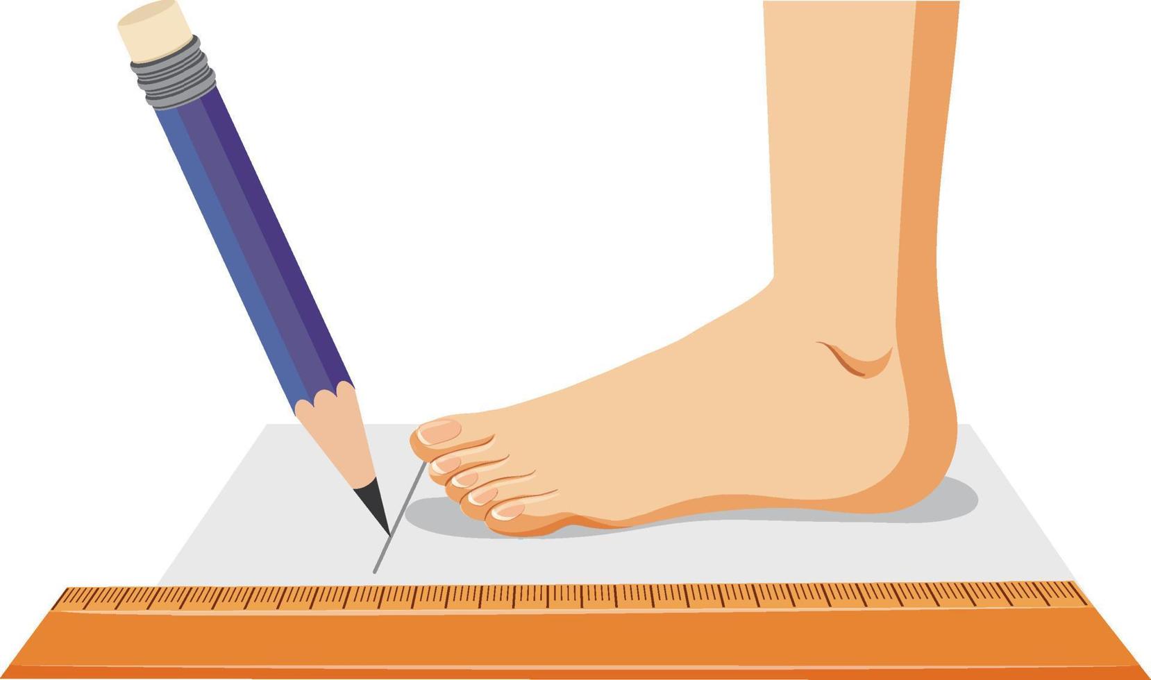 medir el tamaño del pie vector