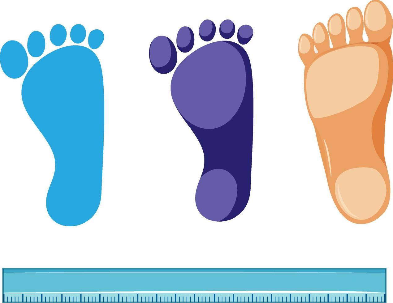 Measuring foot size vector