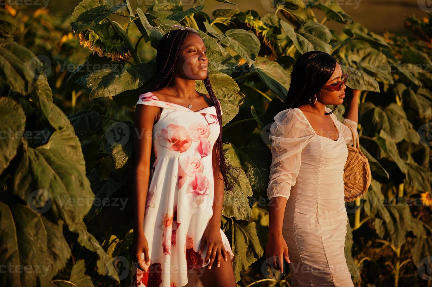 Two pretty young black friends woman wear summer dress pose in a sunflower field. photo