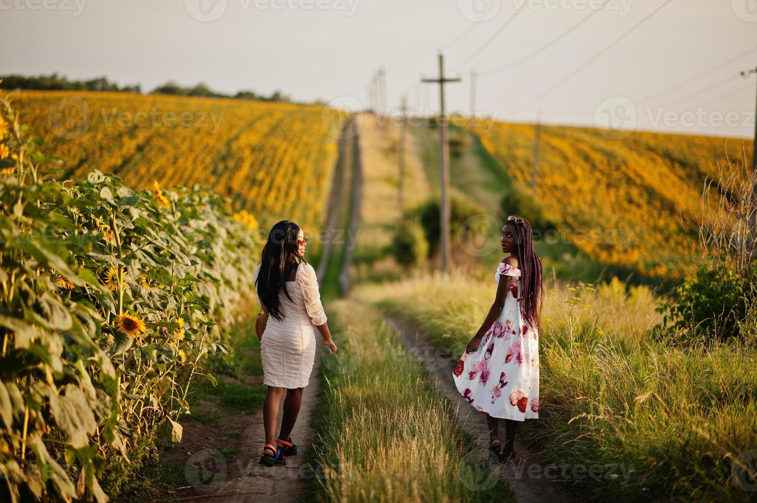 Two pretty young black friends woman wear summer dress pose in a sunflower field. photo