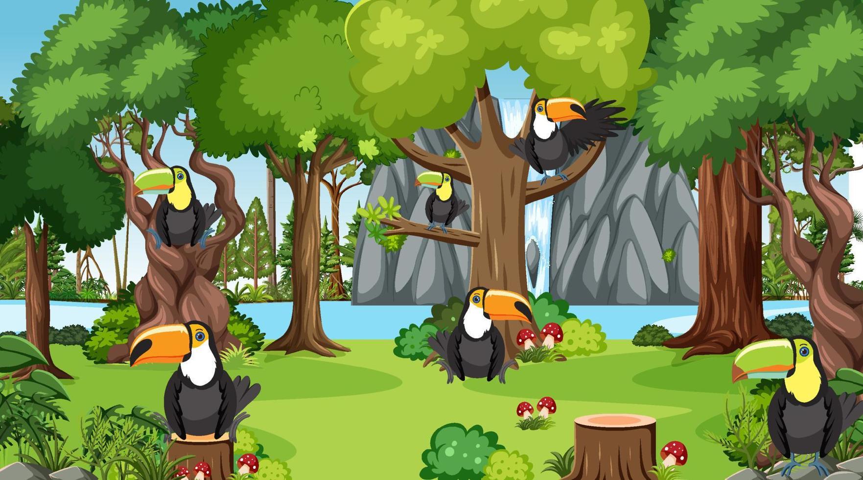 Toucan birds in the jungle scene vector