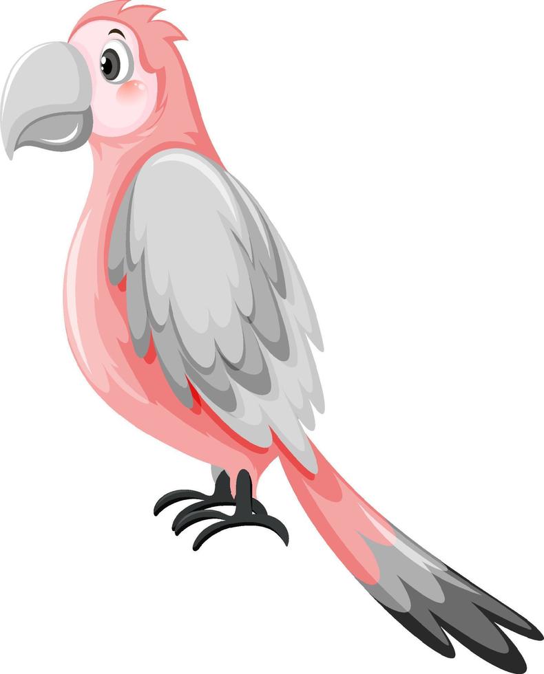 Parrot bird in cartoon style vector