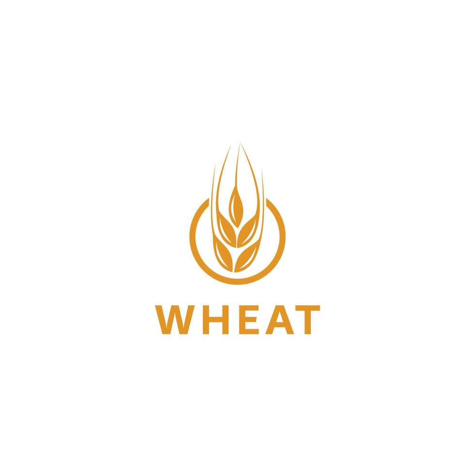 yellow wheat icon design logo vector