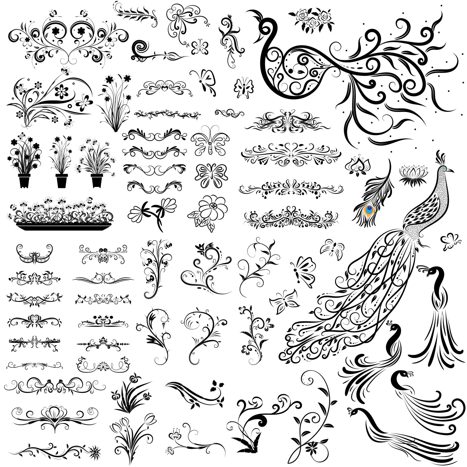 Border store calligraphy design