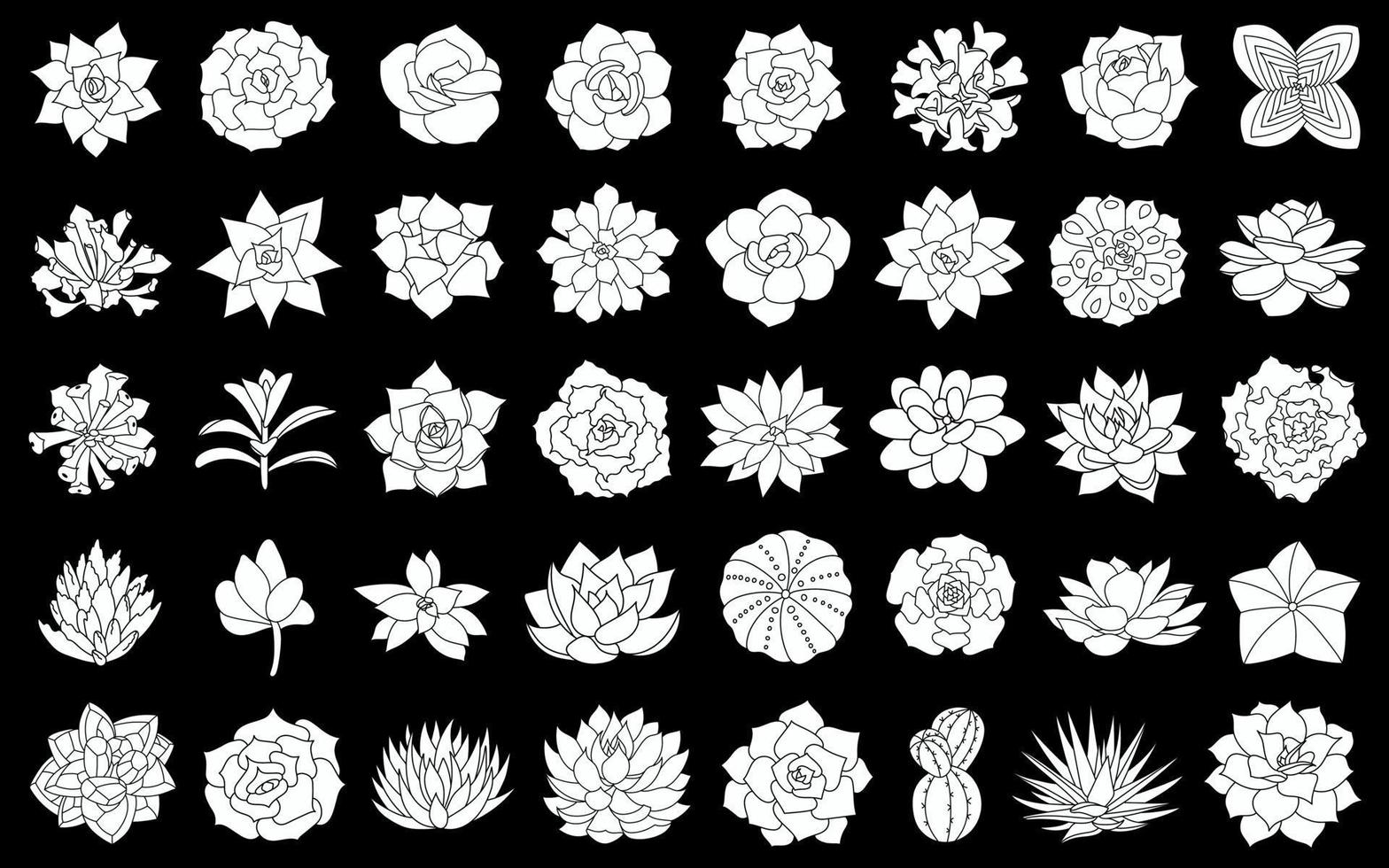 Succulent plant vector illustration, set from silhouette echeveria. Desert flower hand drawn on black background. Isolated elements in simple style, succulents, cactus, agave, aloe, echeveria