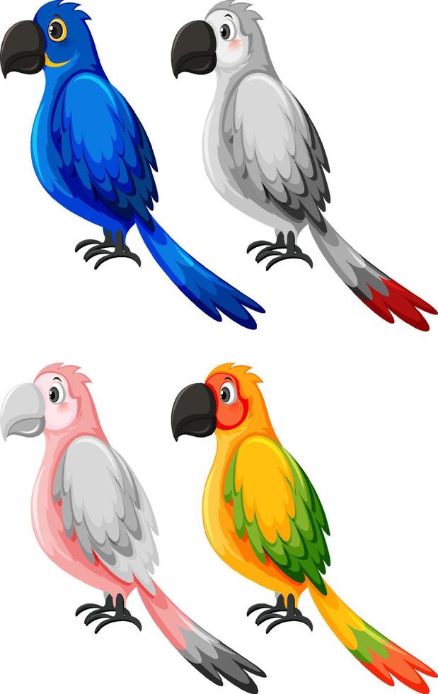 Set of different parrot birds in cartoon style vector