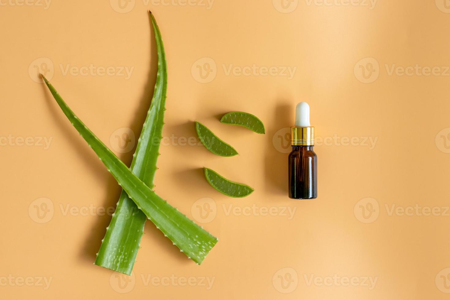 Top view of fresh aloe vera leaves. spa background concept. photo