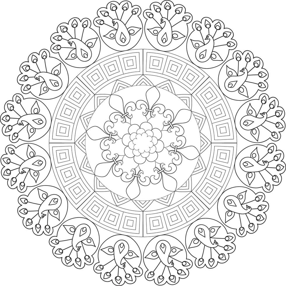 Mandala coloring pages vector