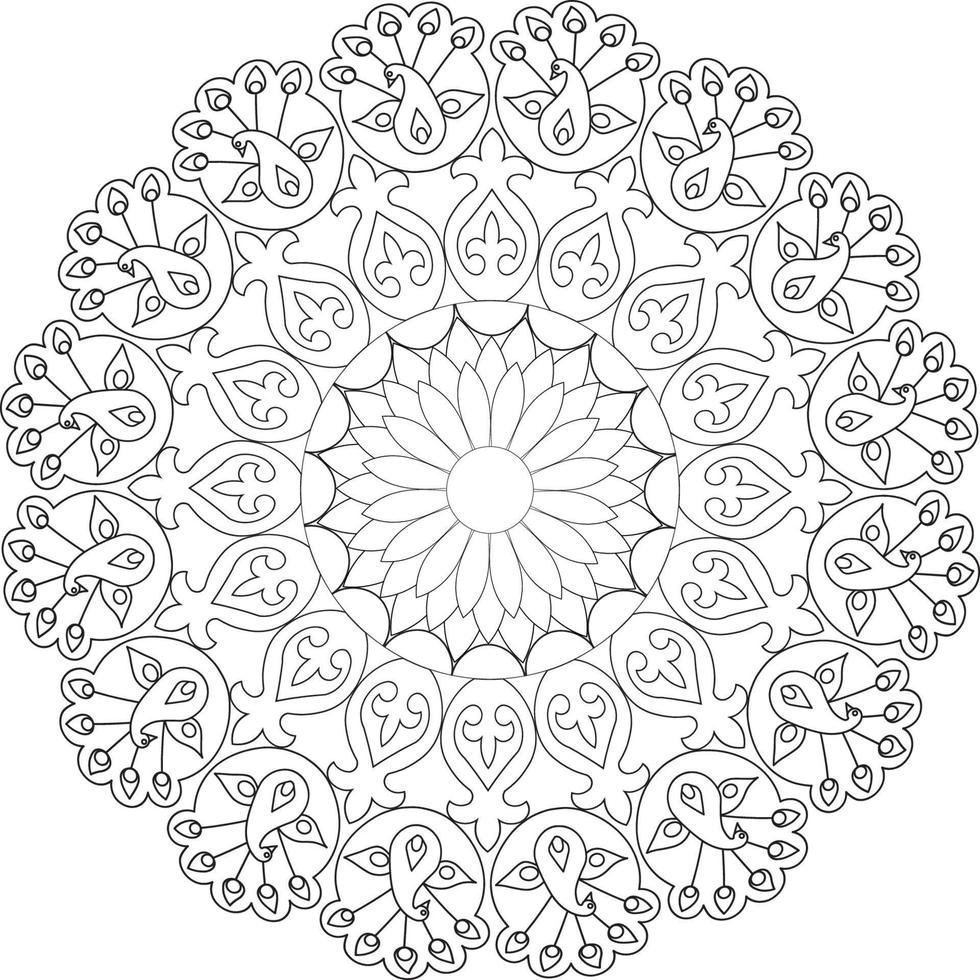 Mandala coloring pages vector