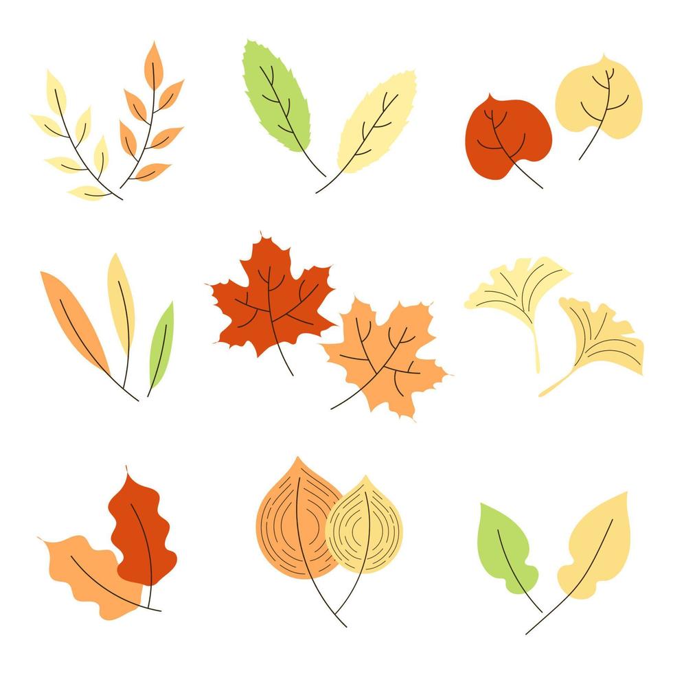 Colorful autumn leaves set collection, isolated on white background. Simple cartoon flat style. Design for stickers, logo, web, or mobile app. vector