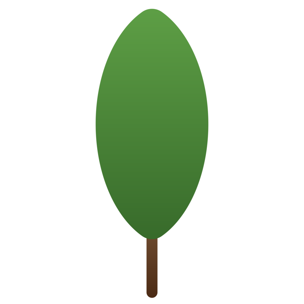 Tree or plant, woods plant and trees. png