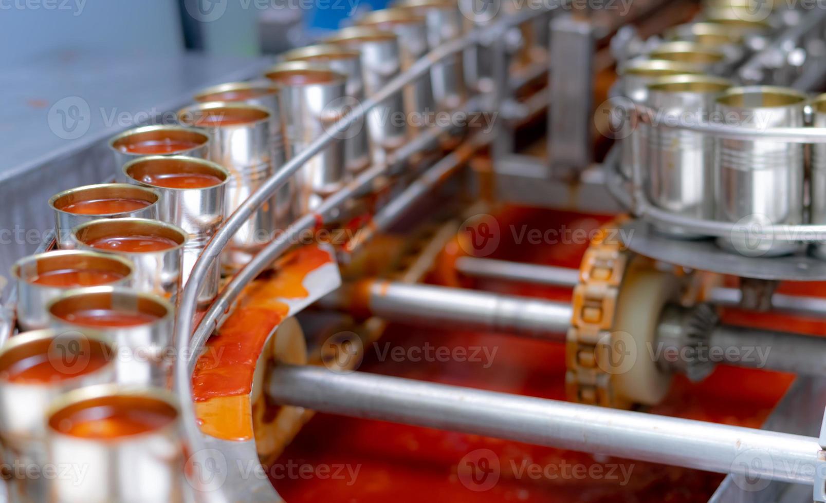 Canned fish factory. Food industry.  Sardines in red tomato sauce in tinned cans at food factory. Food processing production line. Food manufacturing industry. Many can of sardines on a conveyor belt. photo