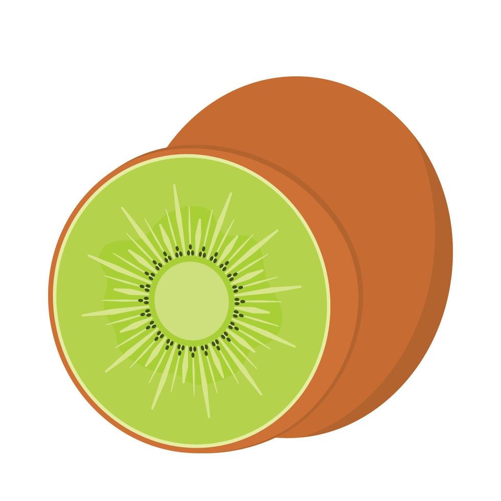 kiwi vector frutas ilustración animado en plano dibujos animados gráfico ilustración