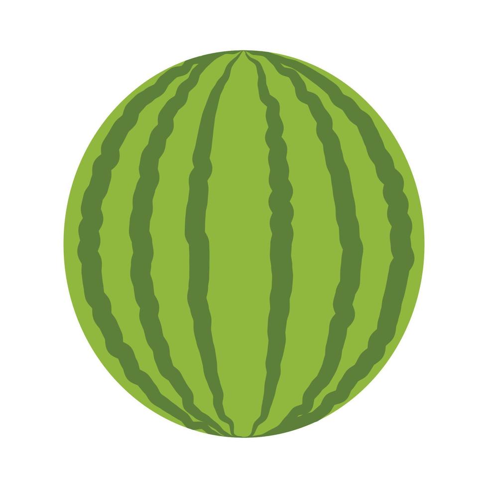 Cute Watermelon fruits cartoon clipart icon in vector design