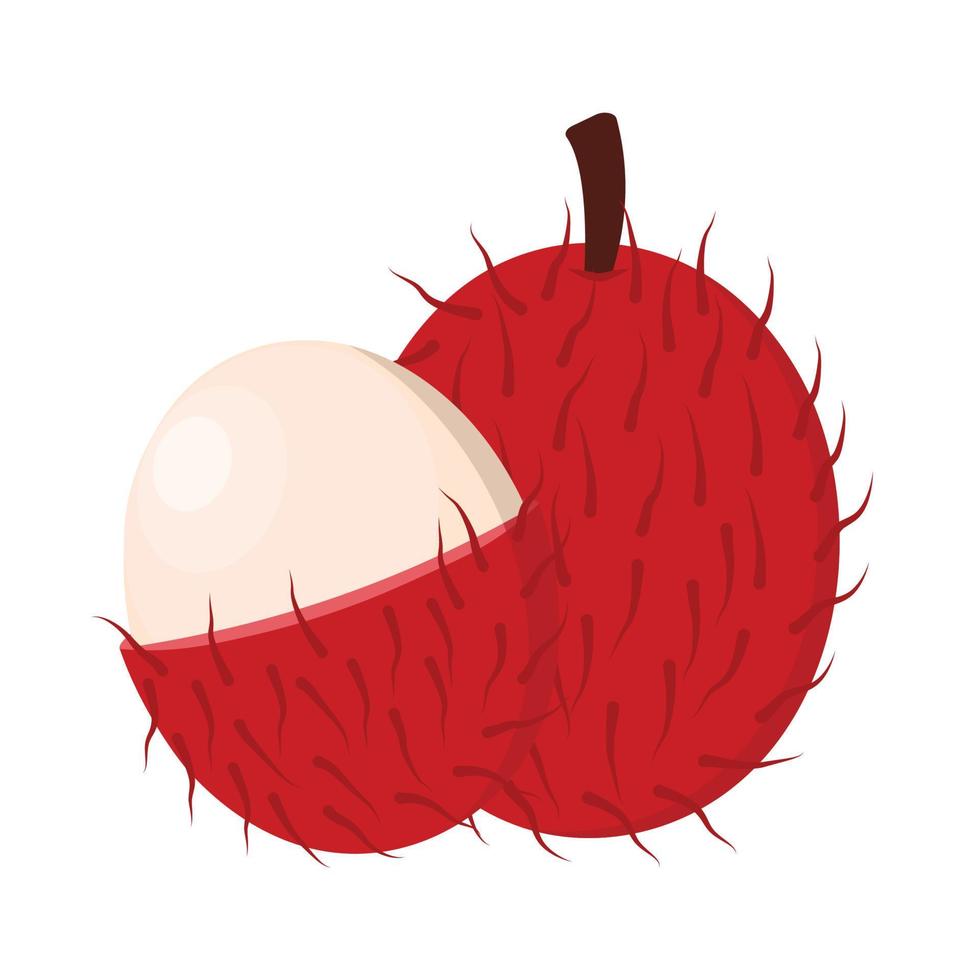 Exotic Rambutan Fruits Vector Animated Cartoon Clip Art