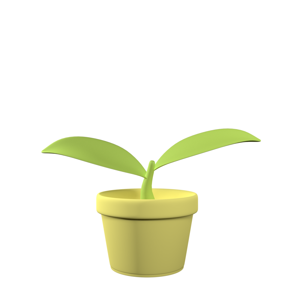 Green Plant in Pot 3D rendering isolated on white background. Ui UX icon design web and app trend png