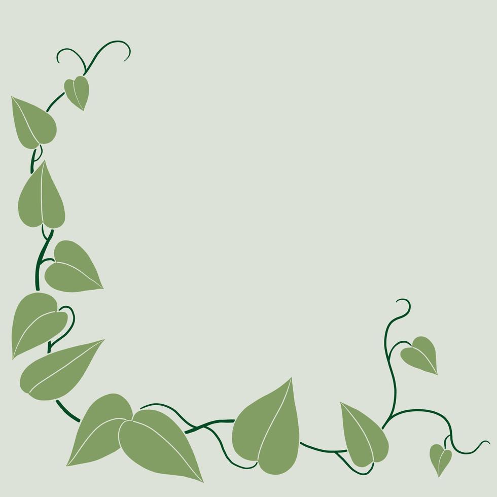 Simplicity ivy freehand drawing flat design. vector