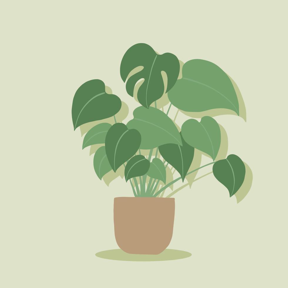 simplicidad monstera planta dibujo a mano alzada diseño plano. vector