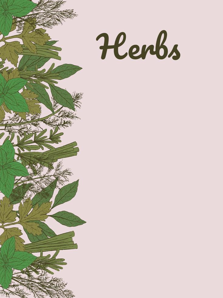 Vector card with hand drawn green herbs. Vector illustration. Doodle monochrome outline ink sketch. Green spice herbs.