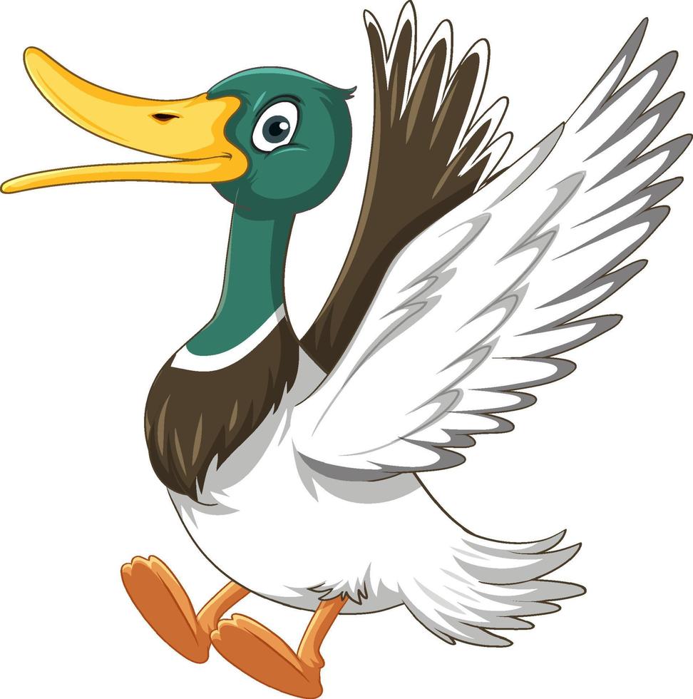 Happy mallard duck cartoon character vector