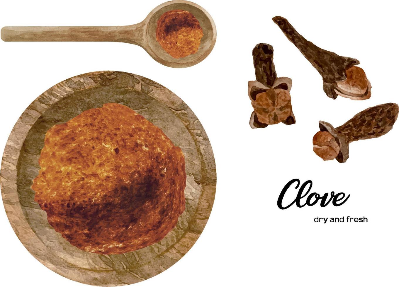 Watercolor fresh and dry clove in wooden bowl and spoon. Kitchen spices and herbs set. vector