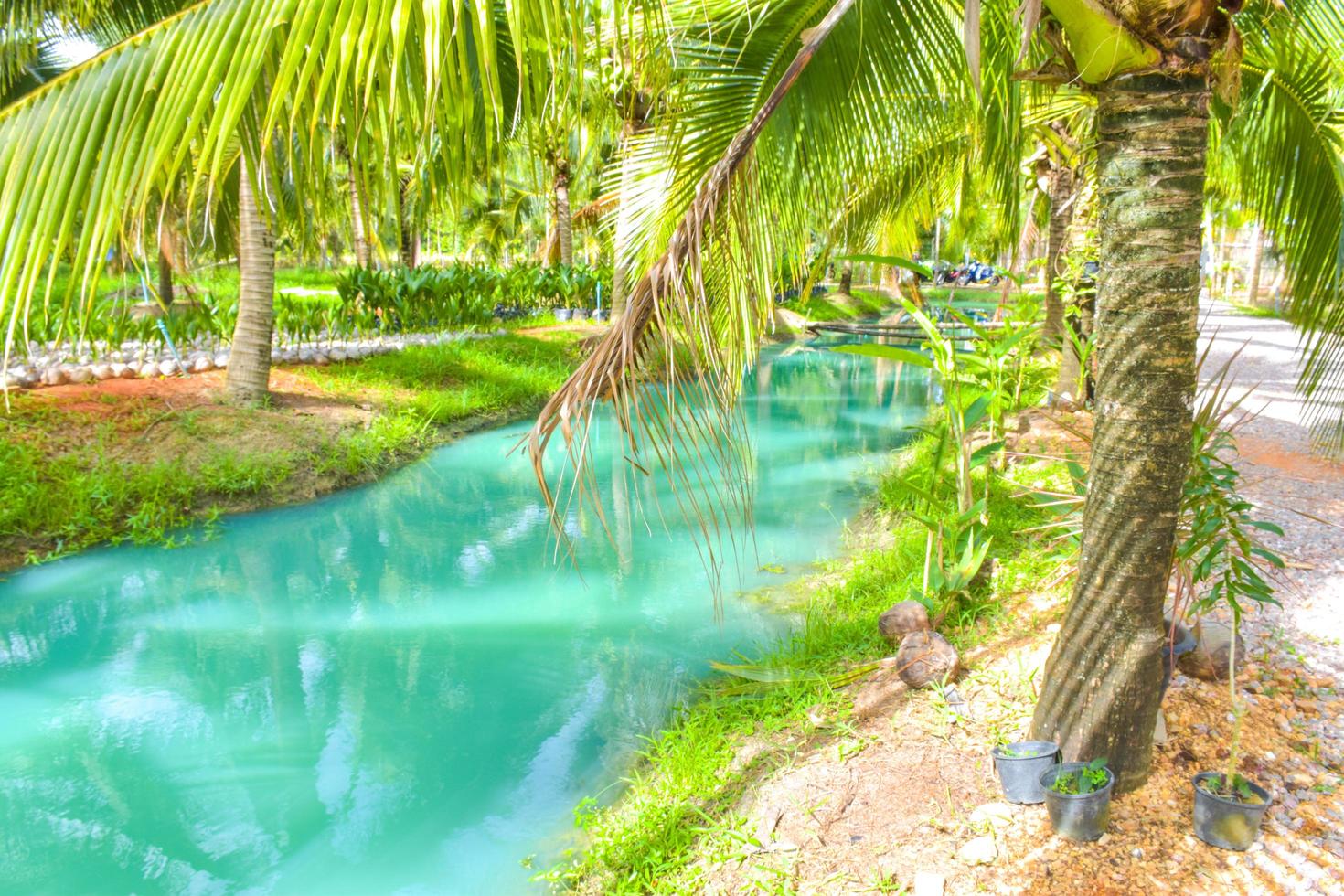 coconut farms and beautiful turquoise waters in southern Thailand. photo