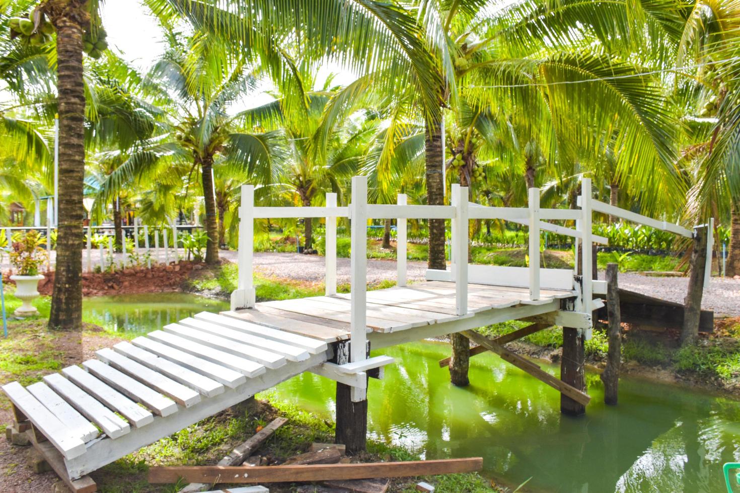 White wooden bridge in garden photo