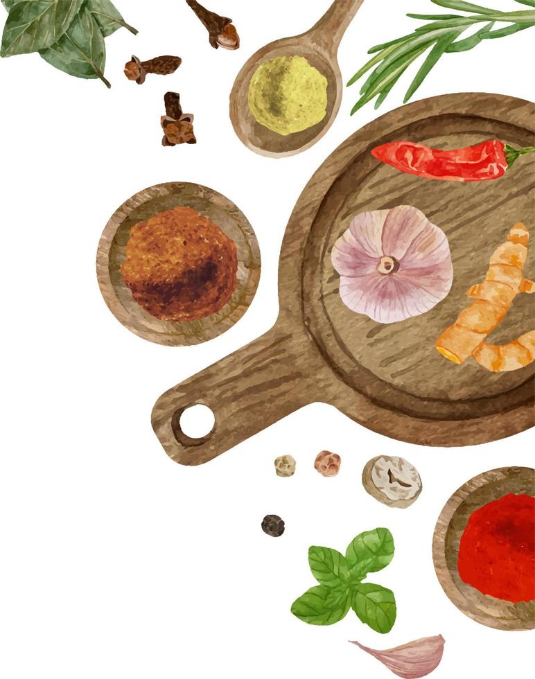Watercolor natural aroma spices backgrouns. Garlic, cloves, nutm vector