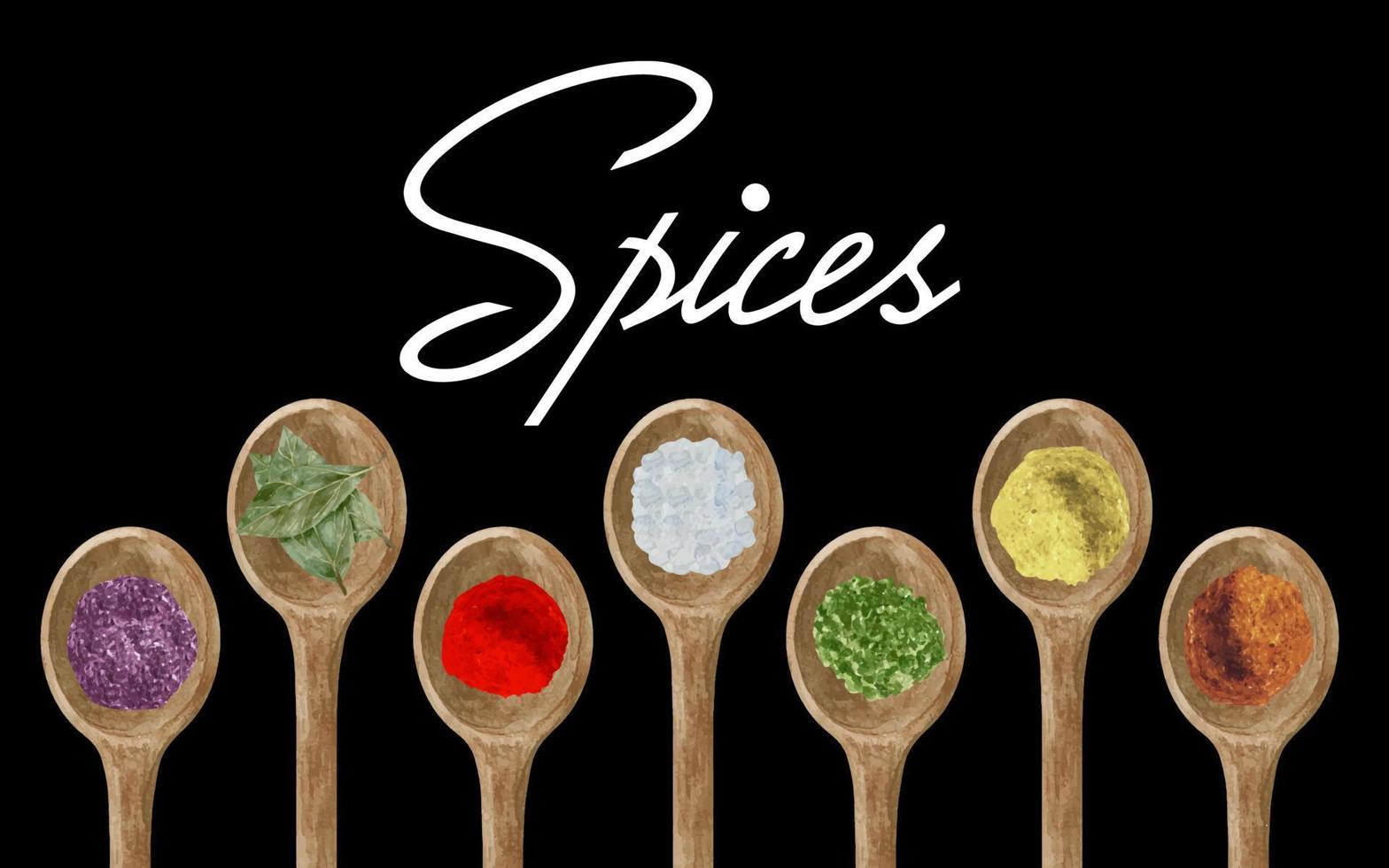 Watercolor dry kitchen spices in wooden spoon pepper, chili, curcuma, ginger, cardamom, nutmeg on black background vector